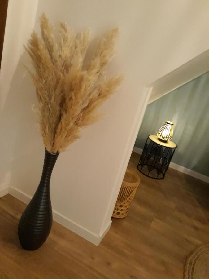 La Canisse 3 : Joli Appartement - Boulogne Sur Mer 외부 사진